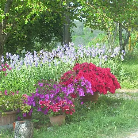 Séjour à la campagne Il Giglio Etrusco