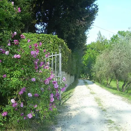 Il Giglio Etrusco San Casciano in Val di Pesa